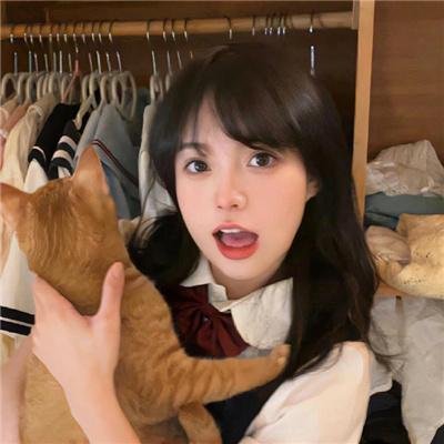 飘零梦
